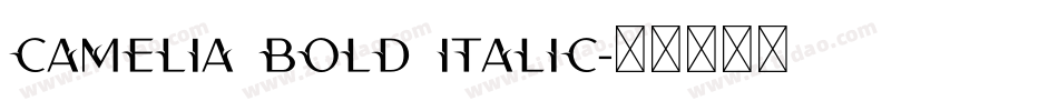 Camelia Bold Italic字体转换
